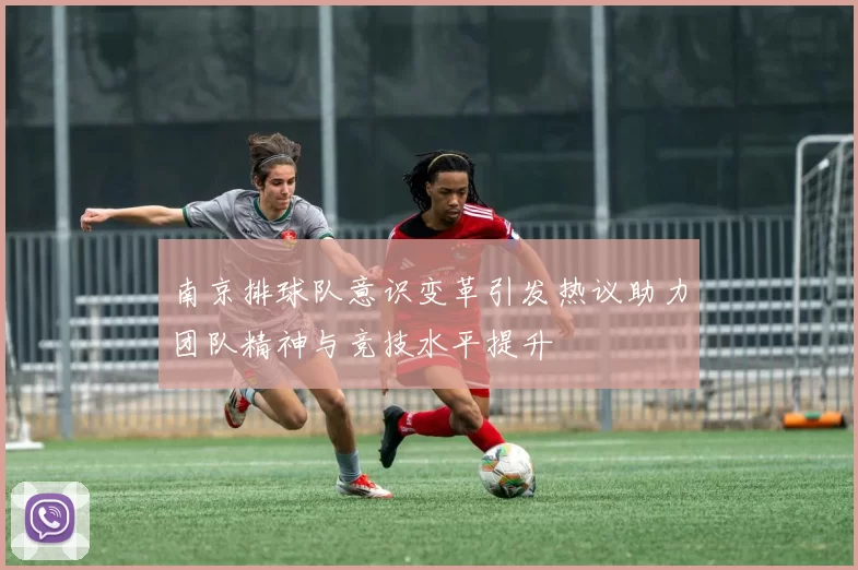 南京排球队意识变革引发热议助力团队精神与竞技水平提升