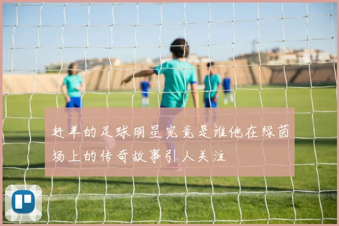 赶羊的足球明星究竟是谁他在绿茵场上的传奇故事引人关注