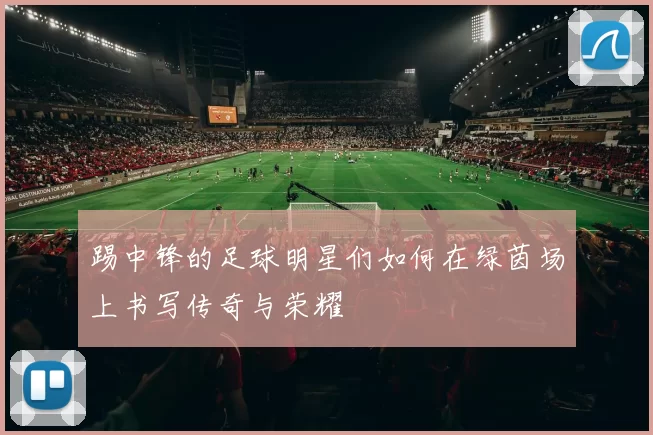 踢中锋的足球明星们如何在绿茵场上书写传奇与荣耀