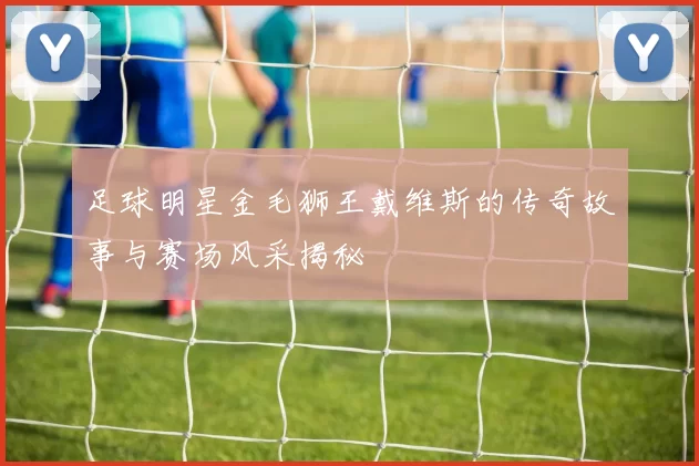足球明星金毛狮王戴维斯的传奇故事与赛场风采揭秘