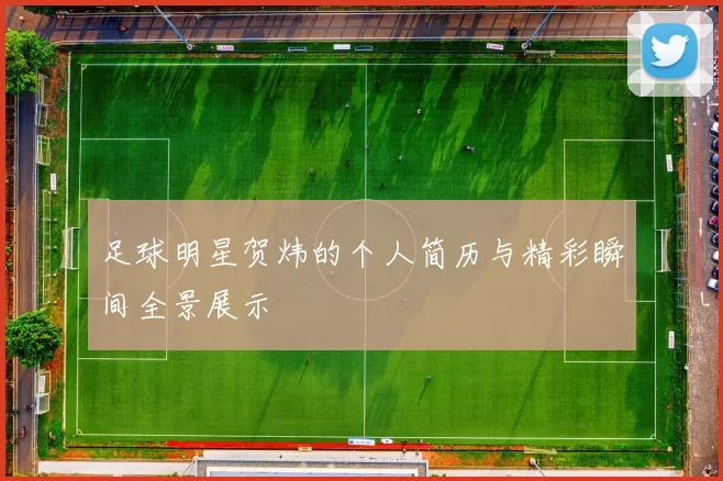 足球明星贺炜的个人简历与精彩瞬间全景展示